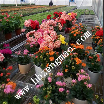 <a href='/' target='_blank'>移動苗床</a> <a href='/' target='_blank'>移動苗床</a>