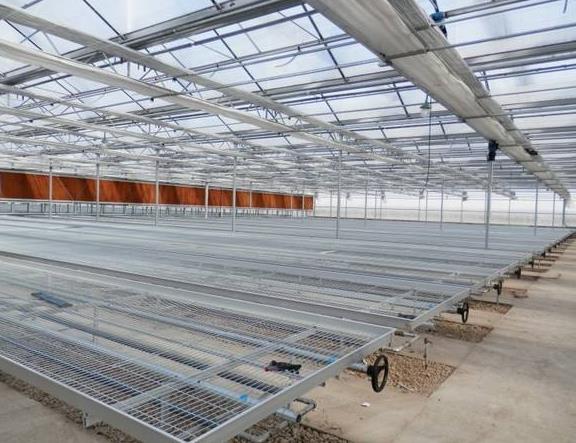 1565227904165070.jpg 90808093828864.jpg