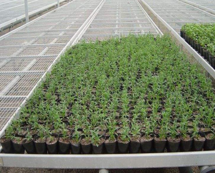 1565333314513803.jpg 360截圖20190809145531276.jpg